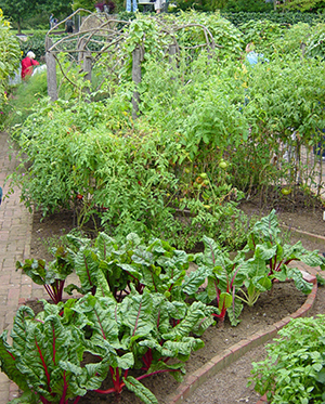 Raised Bed (PA)