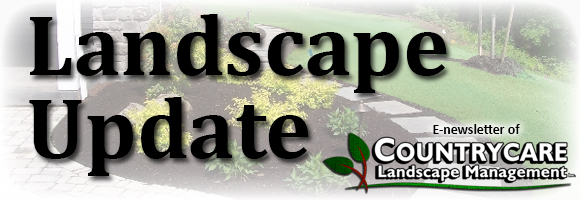 newsletter header_Landscape update_2