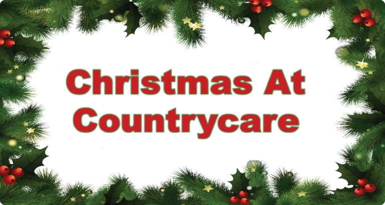 Local Christmas Tree Farm